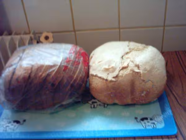 Brioche de la brodeuse prog francais et pain de campagne prog pain rapide