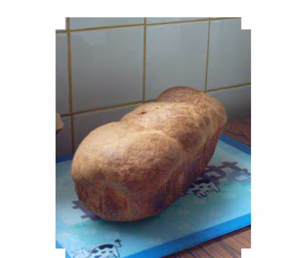 Brioche mousseline 2