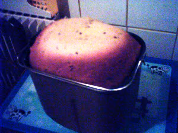 Brioche type pasquier aux cereales