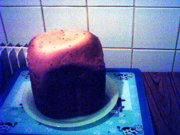 Brioche type pasquier aux cereales sortie de la cuve