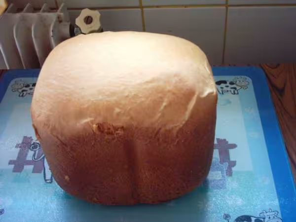 Brioche vendeenne 2