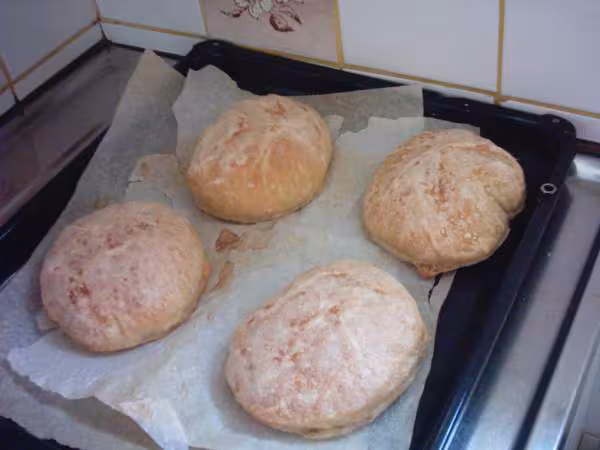 Faluches farine special baguettes et pistolets crousty plus soez