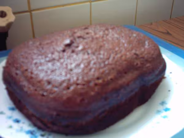 Gateau moelleux au chocolat en prog rapide 7