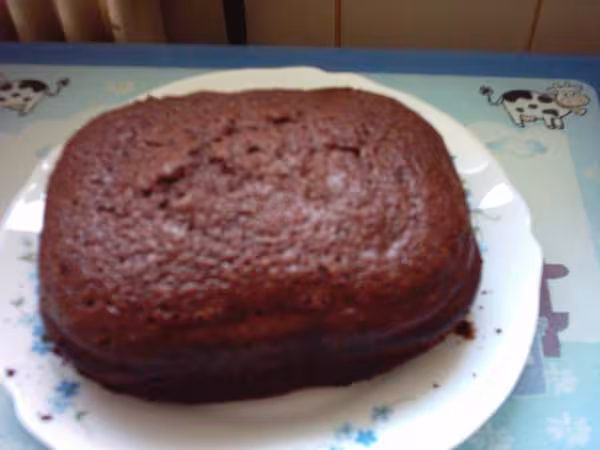 Gateau moelleux au chocolat en prog rapide 7