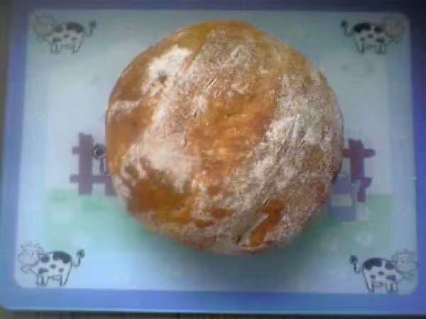 Mon premier pain cocotte avec farine ald