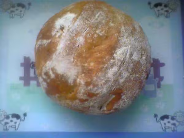 Mon premier pain cocotte avec farine ald 2