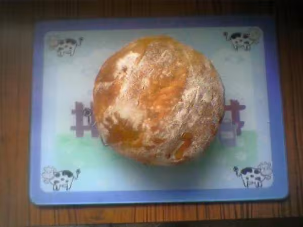 Mon premier pain cocotte avec farine ald 3