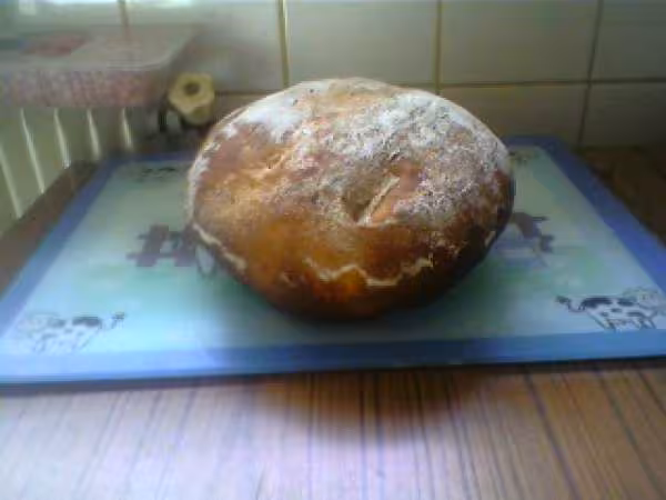 Mon premier pain cocotte avec farine ald 4