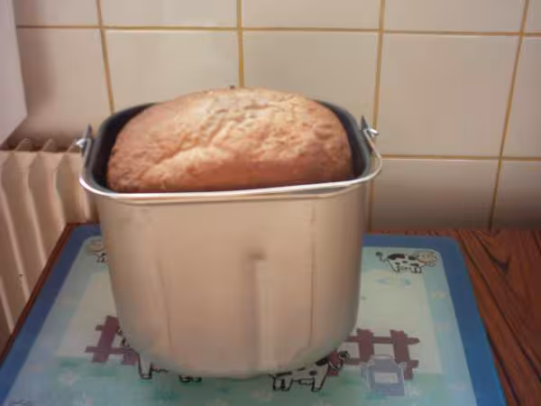 Pain au muesli choco th60 dans la cuve