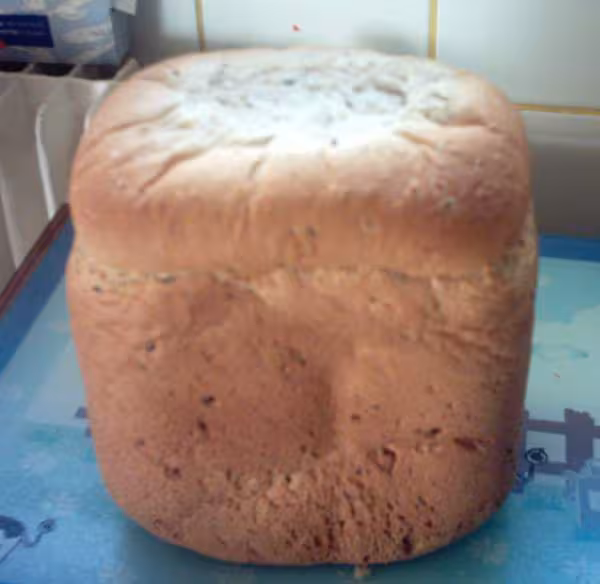 Pain aux cereales farine frangine