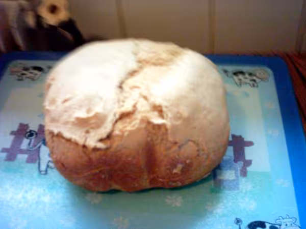 Pain campagne prog rapide