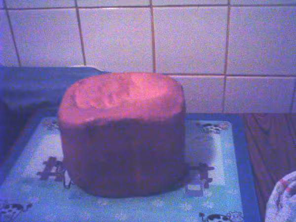 Pain viennois
