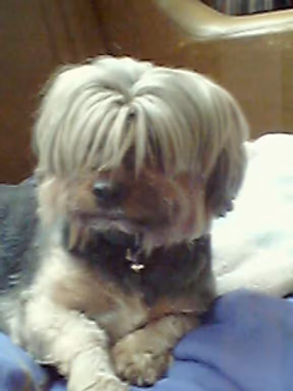 Potiette 2 luxx