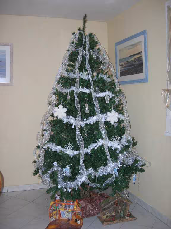 Sapin2005