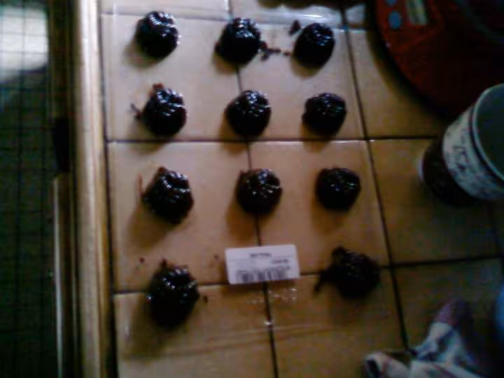 1er essai chocolats maison