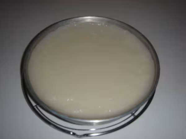 Flan sale le flan