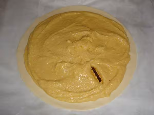 Galette des rois 4