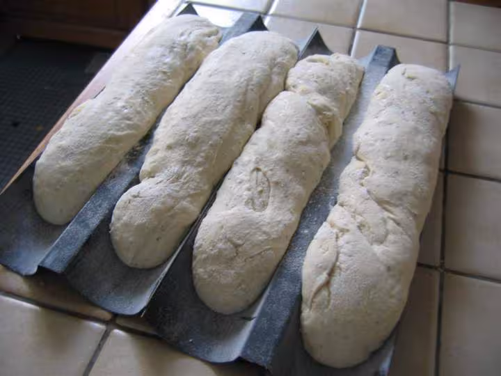 Baguettes distel 1