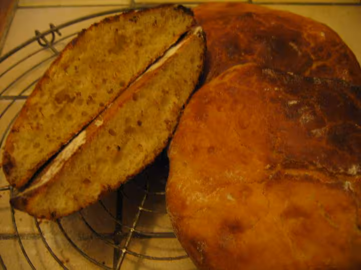 Petits pains au lait sans petrissage