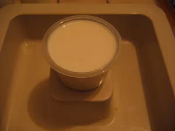 Pots de yaourts