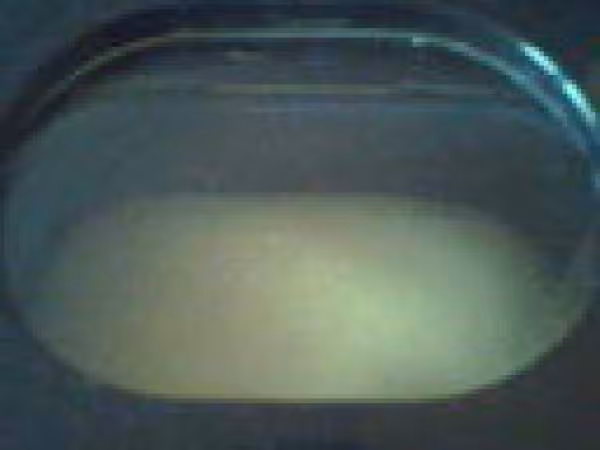 Ma brioche dans la map