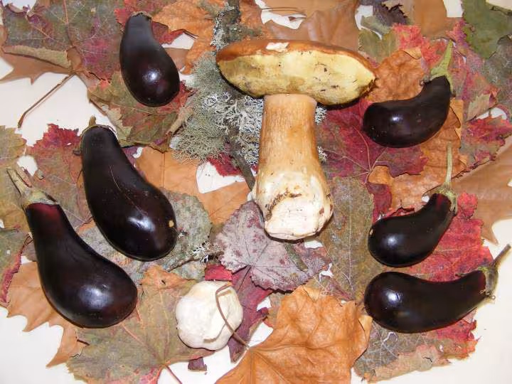 Aubergines du pauvre
