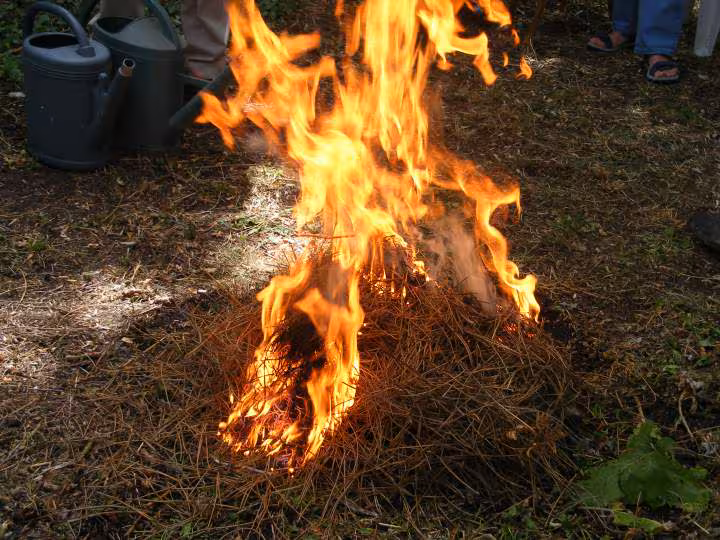 Belles flammes