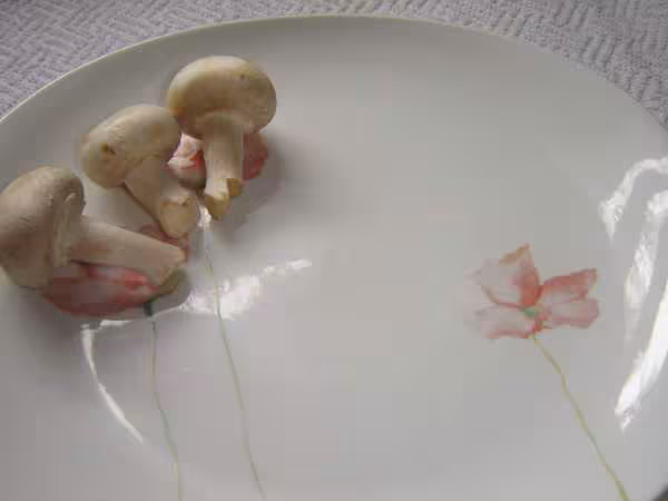 Champignons de paris
