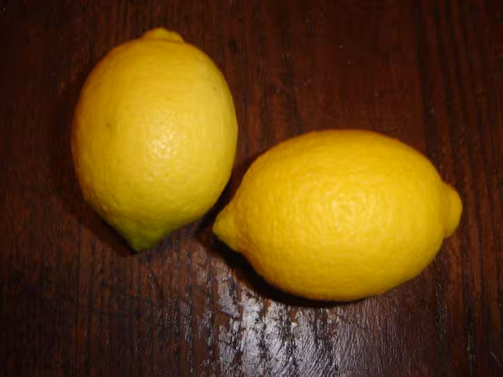 Citrons
