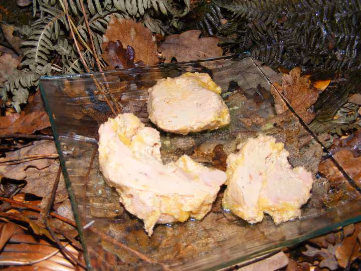 Coquilles st jacques aux cepes et foie gras a ma facon