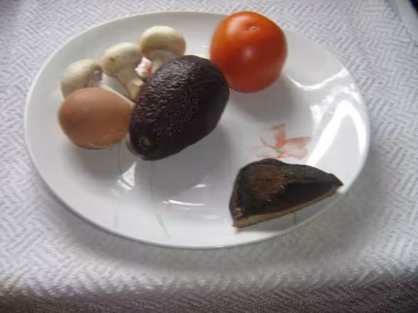 Magret de canard fume