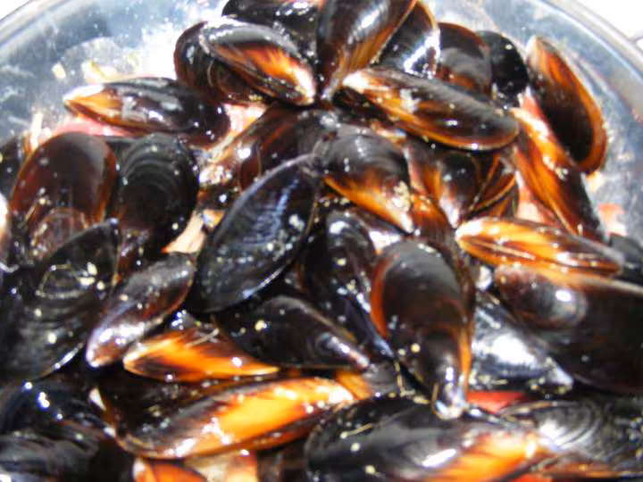 Moules