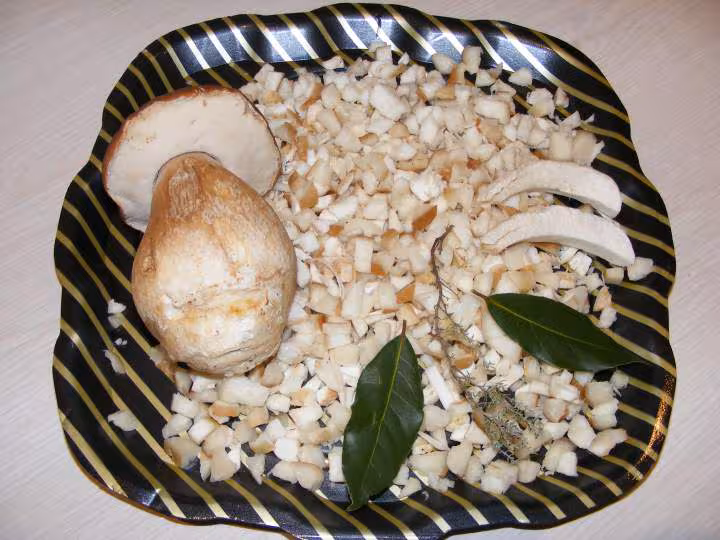 Potage de cepes