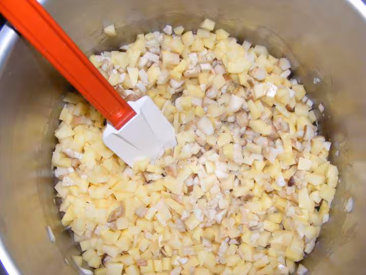Potage de cepes