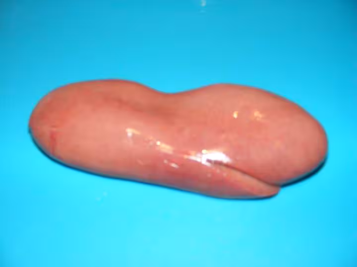 Rognons de porc au madere a ma facon