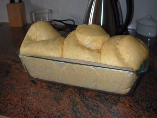 Brioche avant cuisson 2
