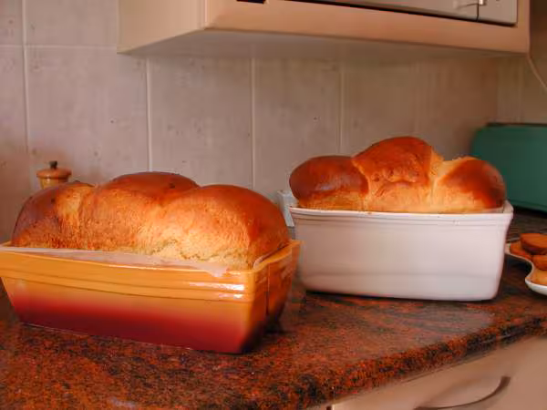 Brioches du 22 avril 2
