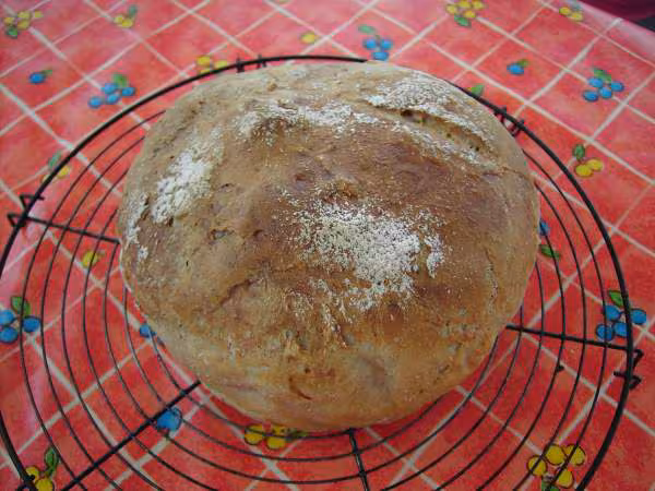 Miche epis complete de capucine