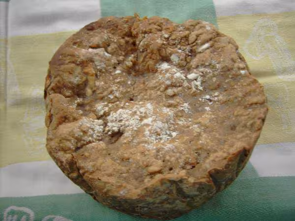 Pain aux graines de tournessol