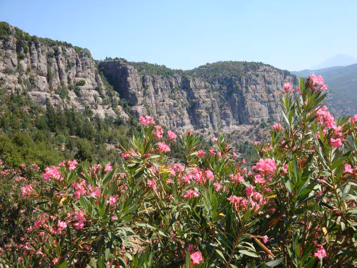 Juillet 2009 sejour turquie