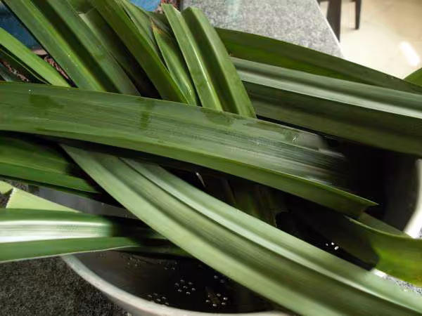 Banh bong lan la dua feuille de baiteuil la dua