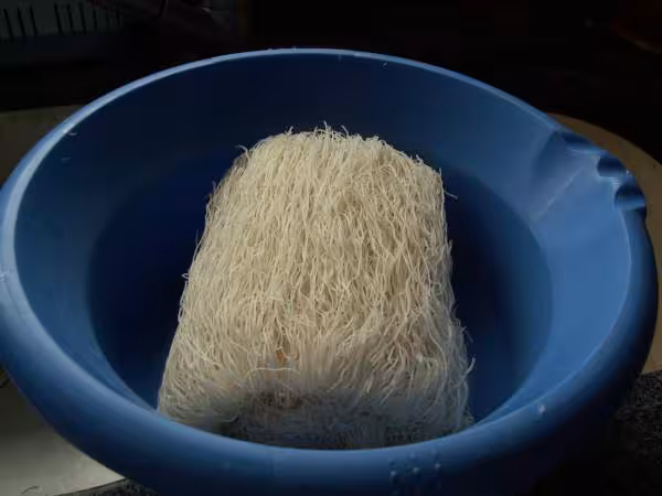 Banh hoi fines vermicelles a base de farine de riz