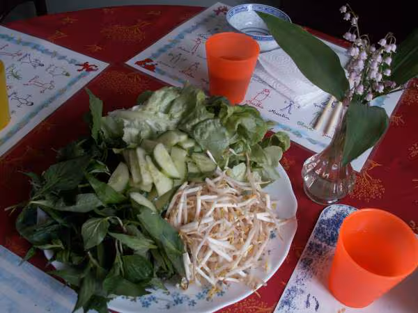 Banh hoi salade amp herbes fraiches