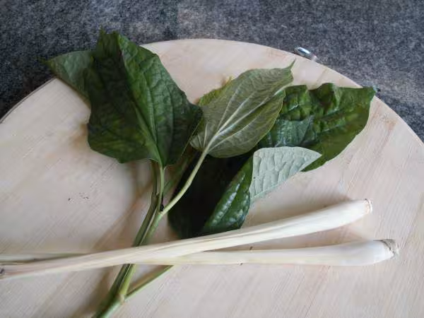 Bo la lot la lot amp sa citronnelle