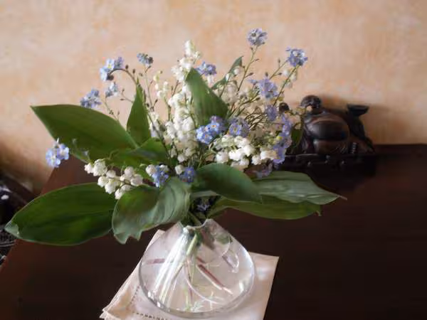 Fleurs de mai