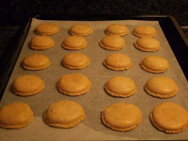 Macaron aux noisettes sortie du four
