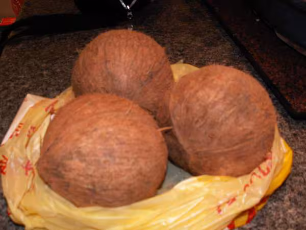 Noix de coco fraiches