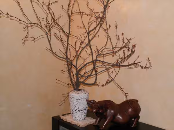 Tet 2006 les fleurs prunus 2