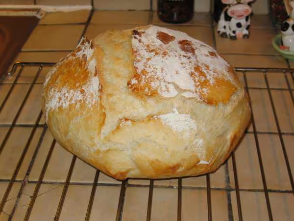 Pain cocotte d animo