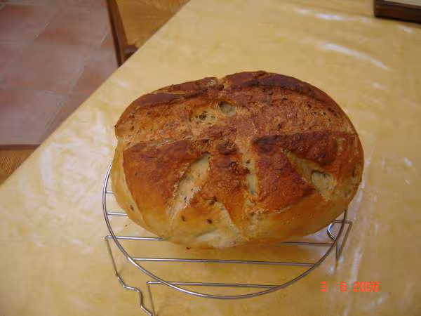 Pain cocotte multicereales